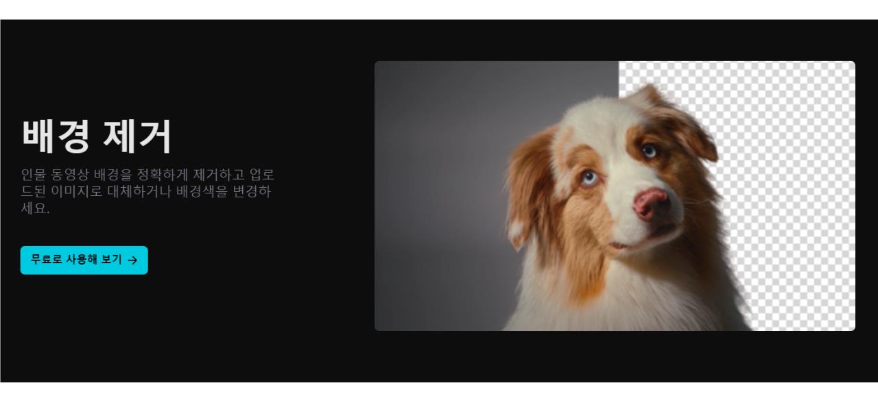 캡컷 PC 버전 다운로드 및 설치 방법 안내