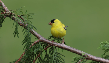 아파트 실거래가 조회 바로 가기 13