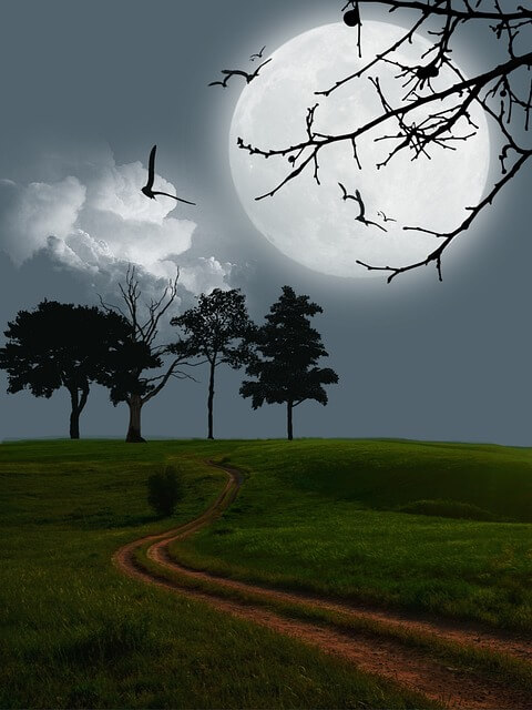 디지털 노마드를 노코드 자동화 툴 및 업무 자동화 전략