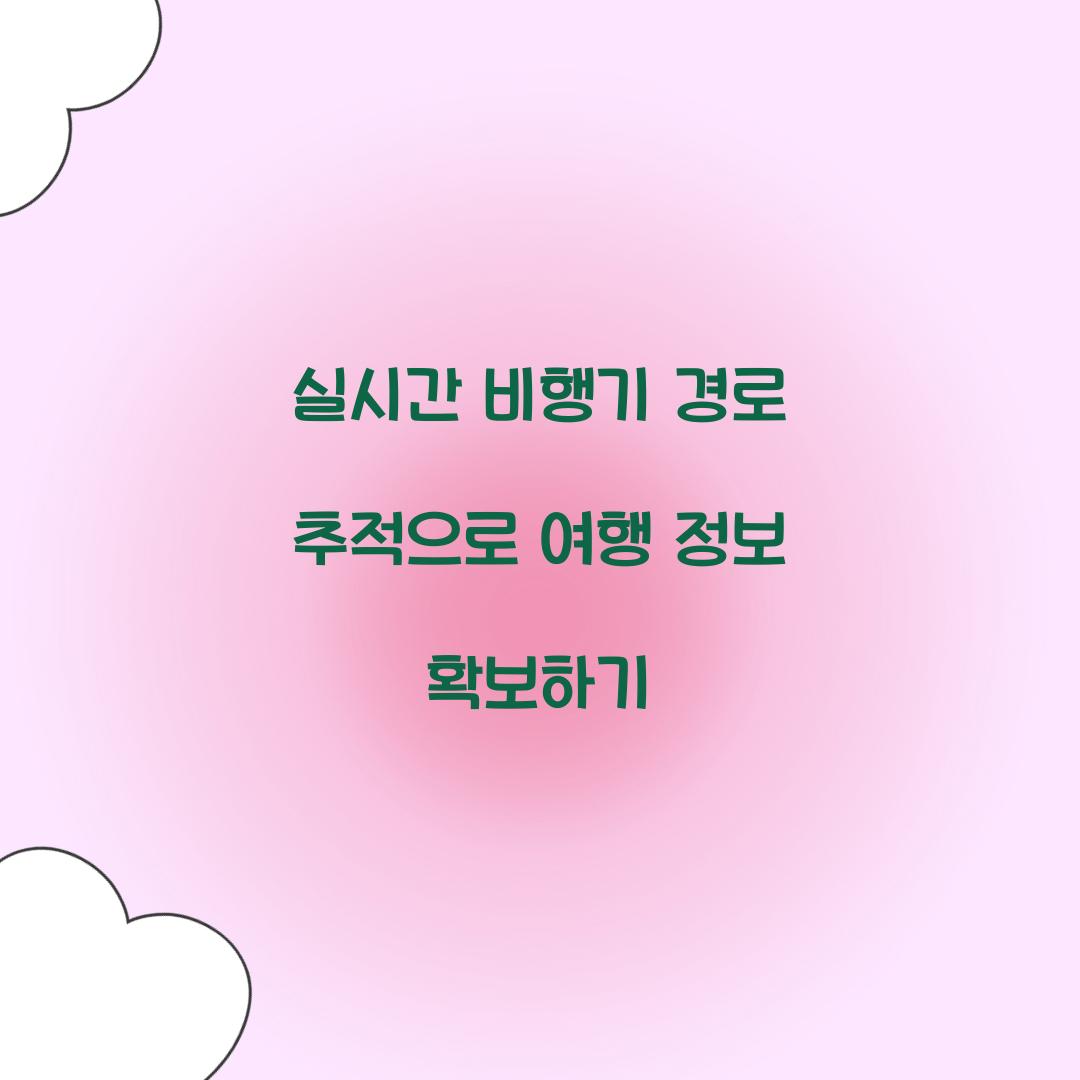 실시간 비행기 경로