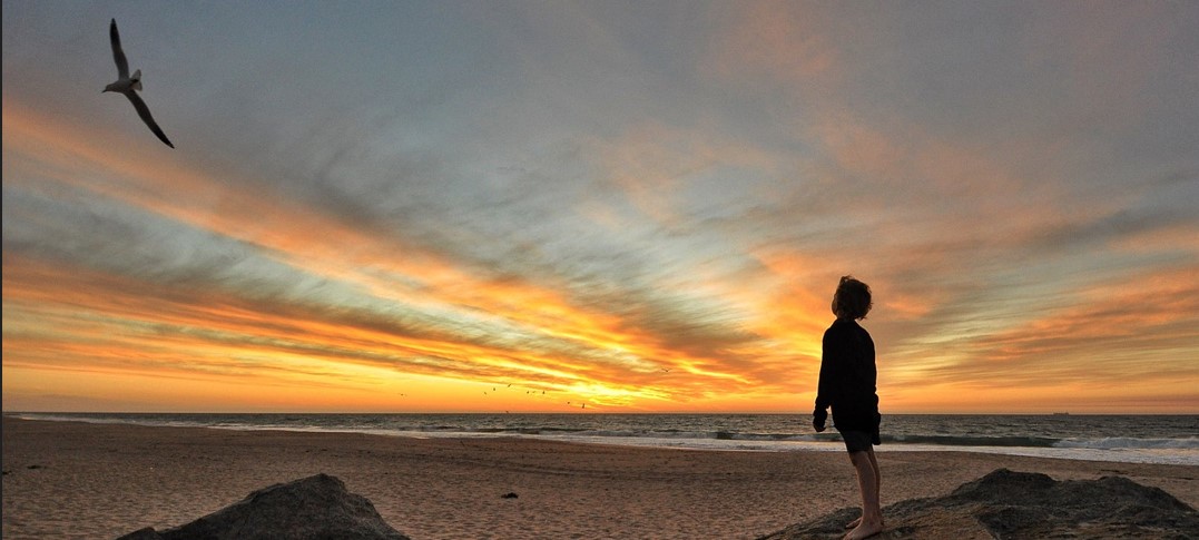 10대의 소년이 노을이 지는 바닷가에 서서 하늘을 날아가는 갈매기를 바라보고 있는 사진