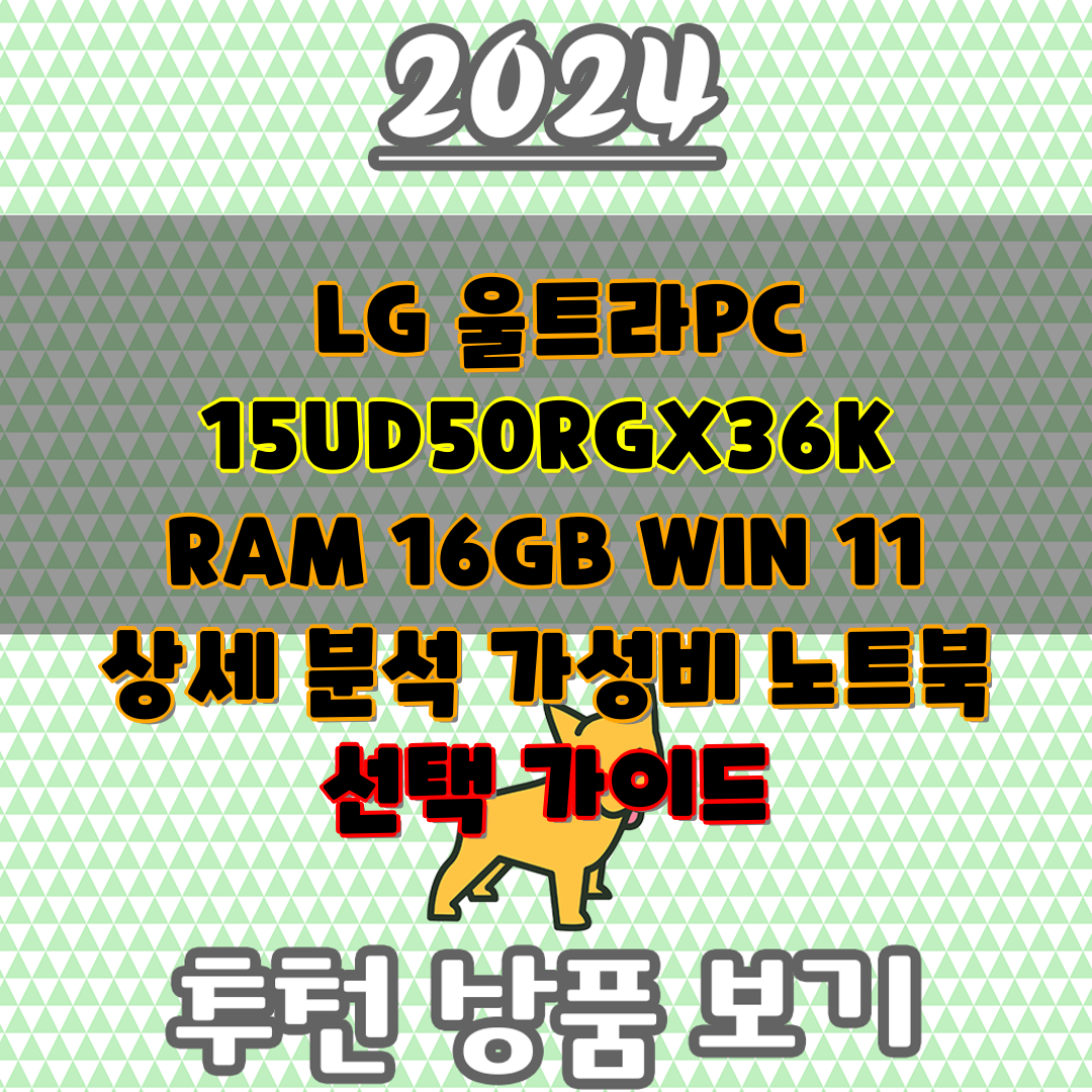  LG 울트라PC 15UD50RGX36K RAM 16G