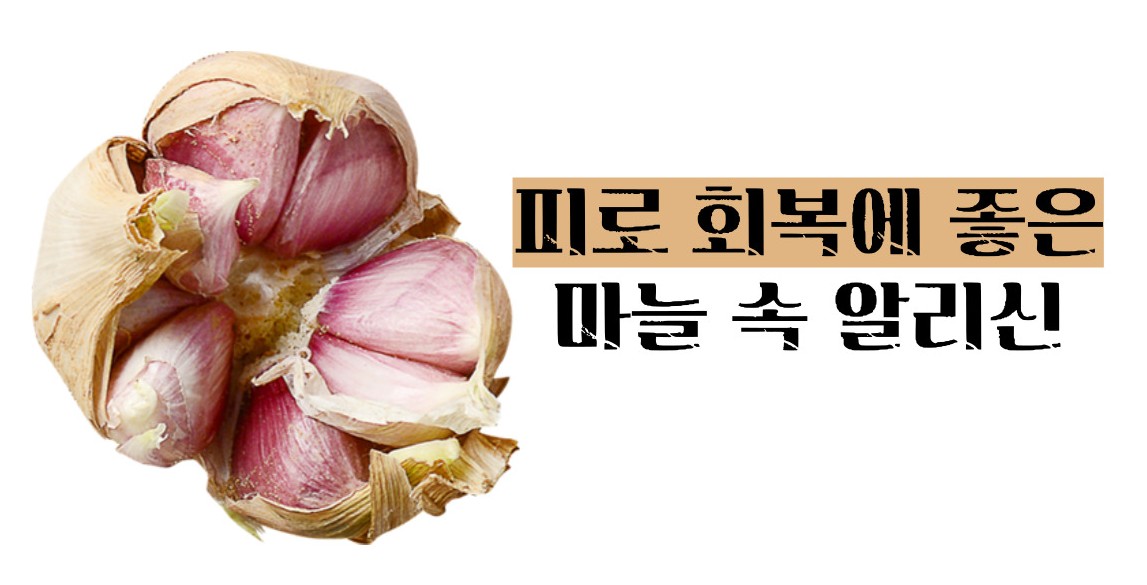 마늘 효능