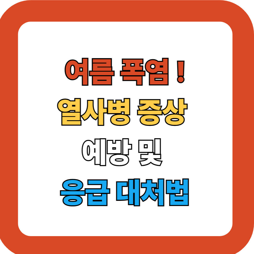 열사병 증상과 예방 및 응급 대처법 : 폭염 대비 필수 가이드