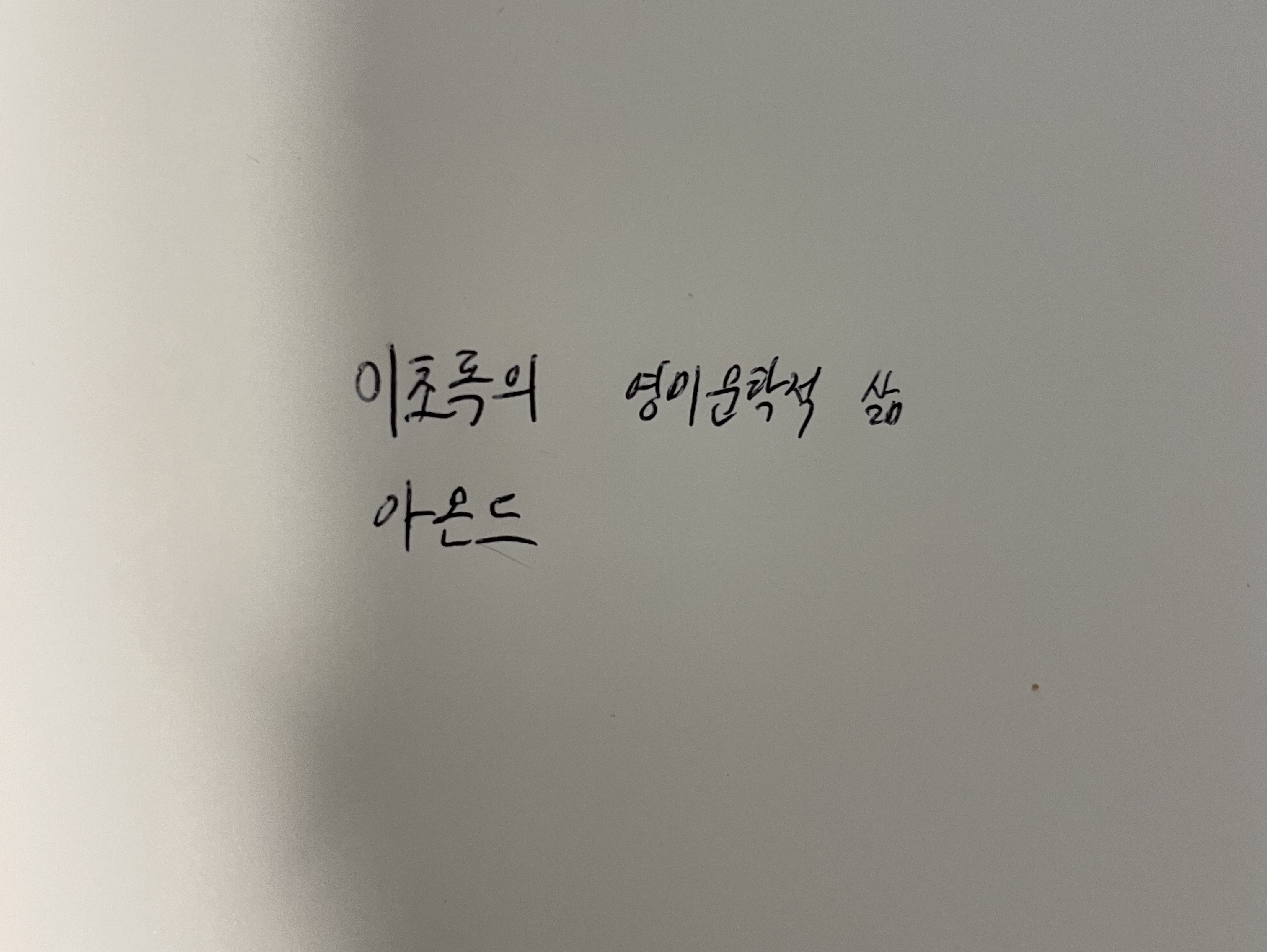 이초록의 영미문학적 삶- 아몬드 손원평 손글씨