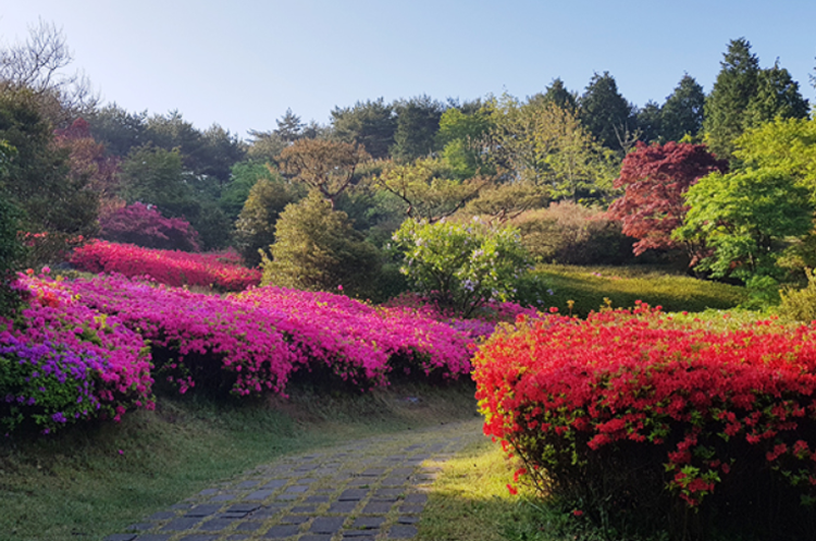 태안 안면도 수목원