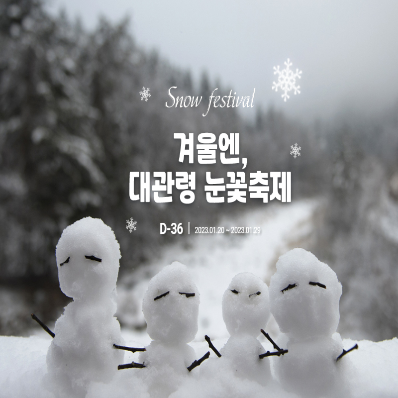 대관령 눈꽃 축제
