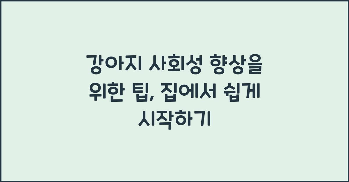 강아지 사회성 향상을 위한 팁