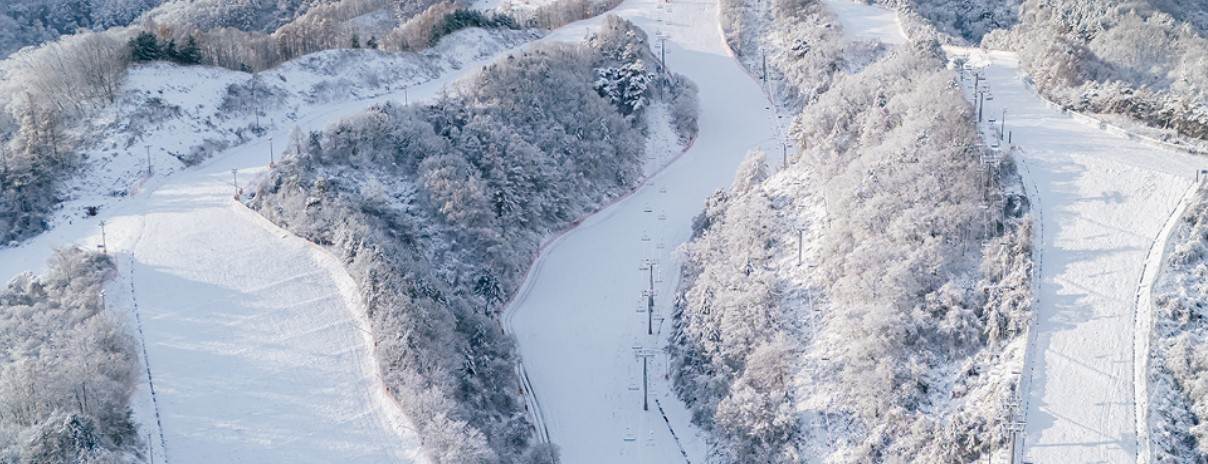 2025-2026 엘리시안 강촌 스키장 개장일 및 시즌권