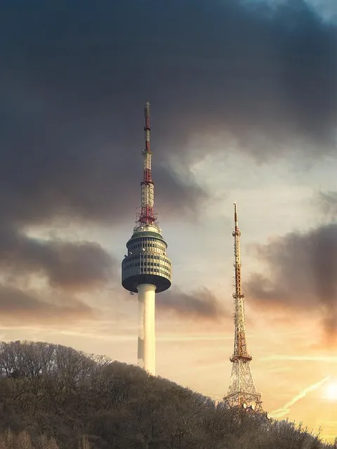 서울 벚꽃 명소 추천 베스트10_1