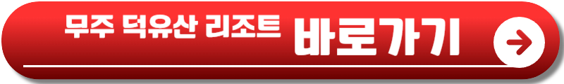 스키장 개장일