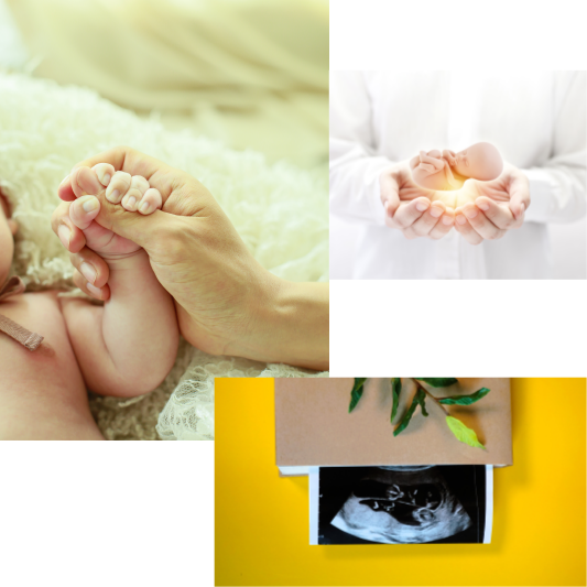 태아 건강 문제