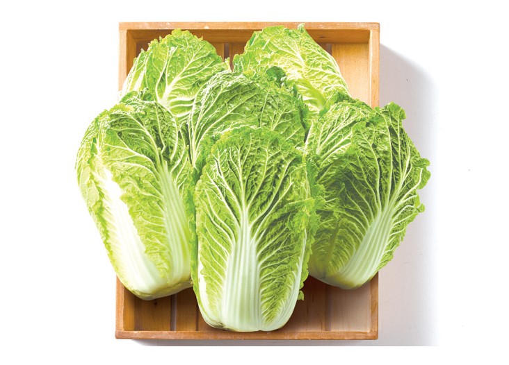 겨울 제출음식 배추