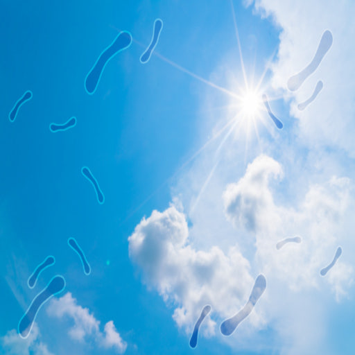 하늘에 이물질이 떠다니는 사진