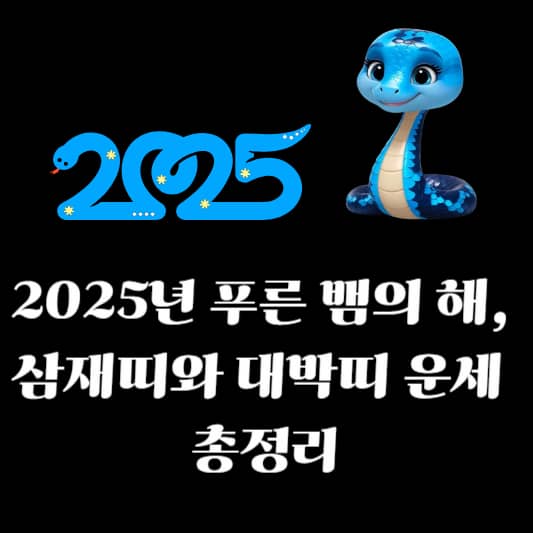2025년 푸른 뱀의 해, 삼재띠와 대박띠 운세 총정리
