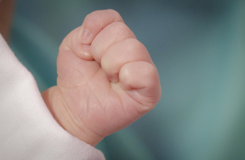 아기 성장 몸무게 정체기