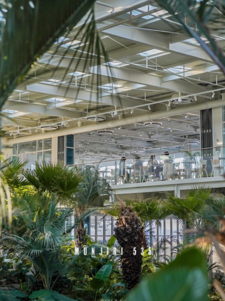 서울 근교 대형 카페 추천 TOP6 솔직 후기!