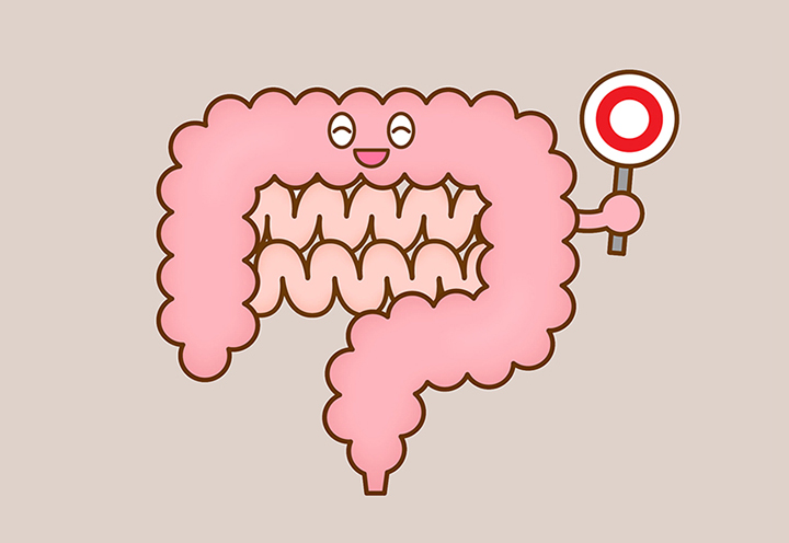 건강한-소화기관