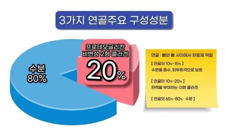 무릎관절영양제