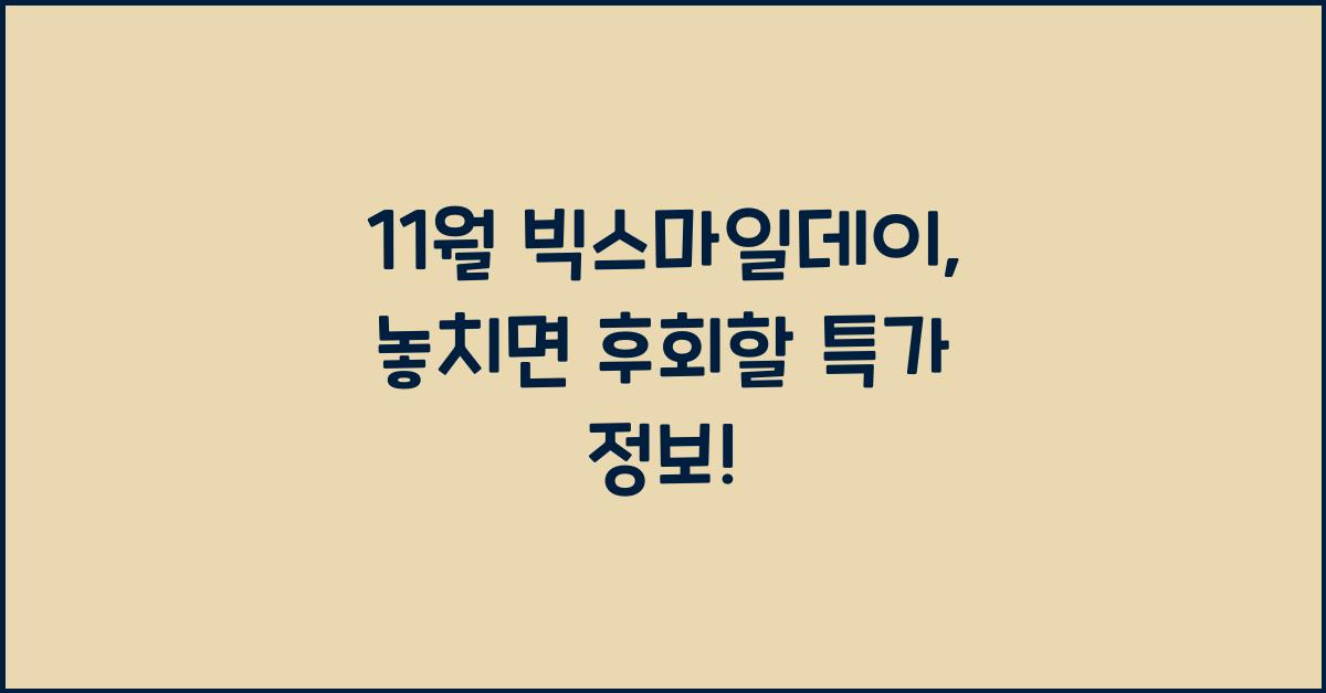 11월 빅스마일데이