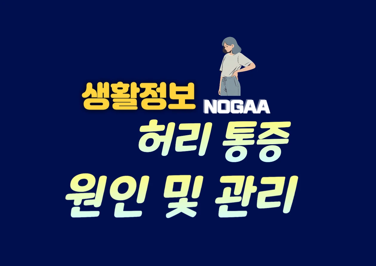 허리가 아픈 이유, 통증 원인부터 자가 진단과 관리법까지