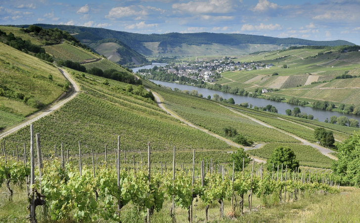 고령 운전자 면허 반납 혜택과 절차 안내
