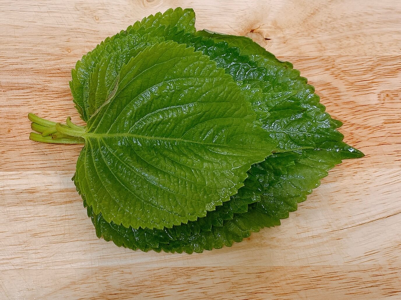 깻잎