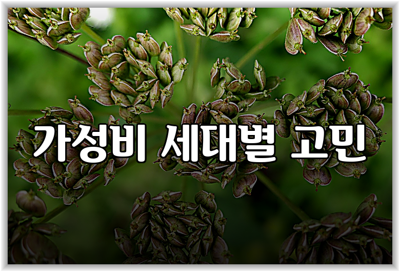 가성비 세대별 고민