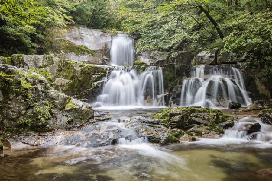 인제 가볼만한 곳