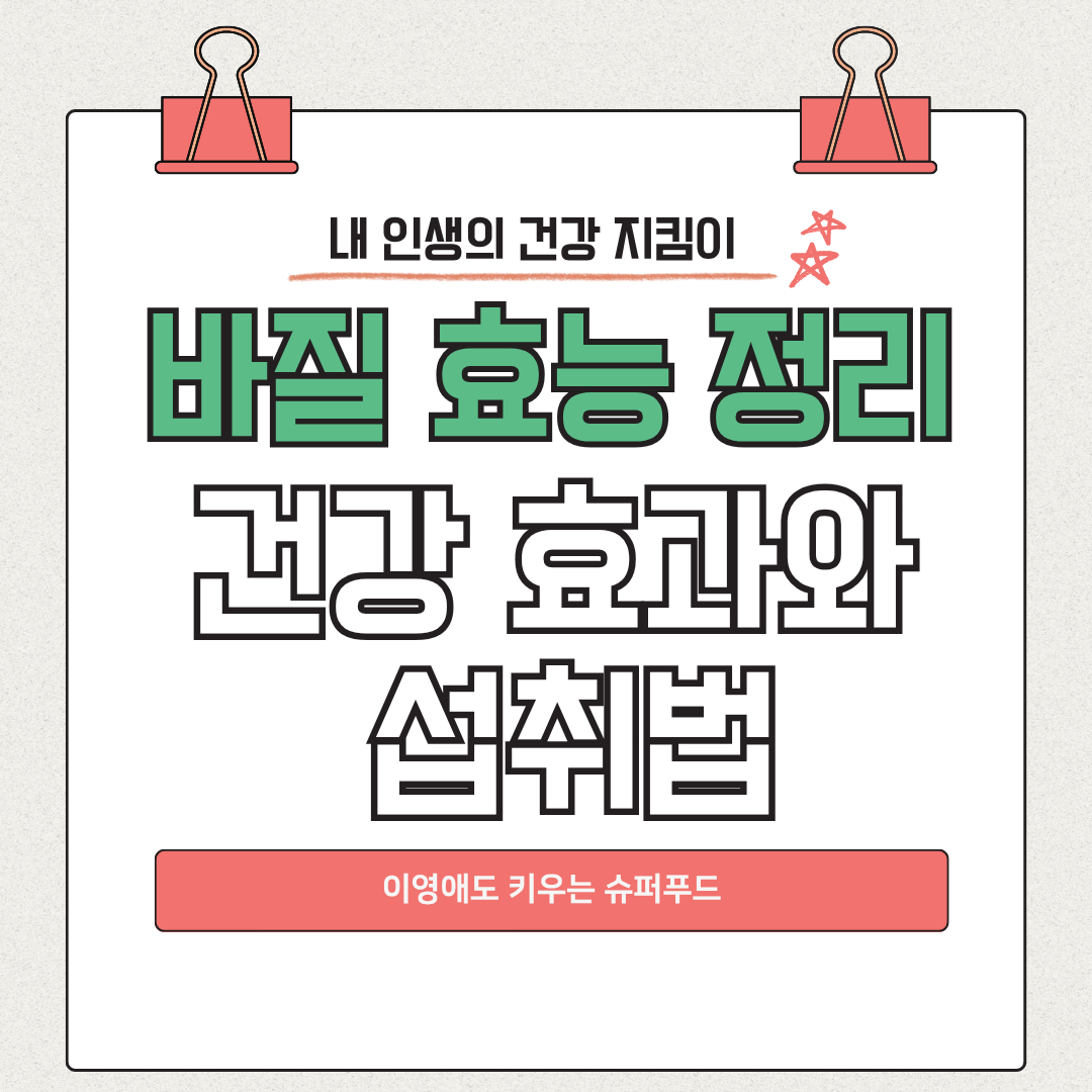 바질 효능 완벽 정리