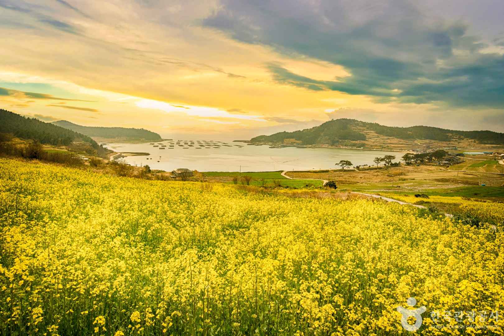 완도 청산도 일몰