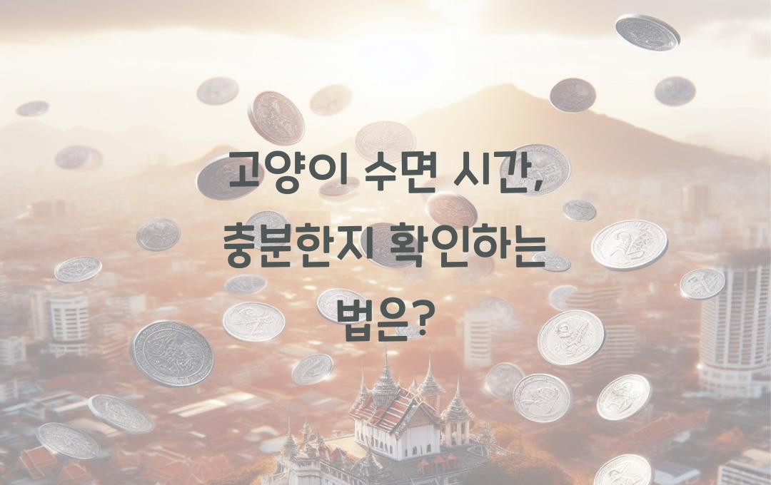 고양이 수면 시간, 충분한지 확인하는 방법