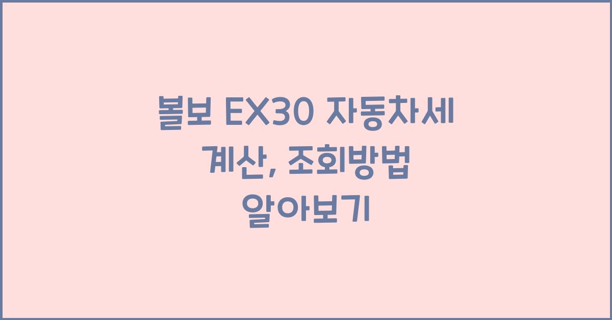 볼보 EX30 자동차세 계산, 조회방법