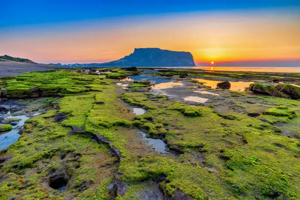 제주도 성산일출봉 오름 추천 코스 비교
