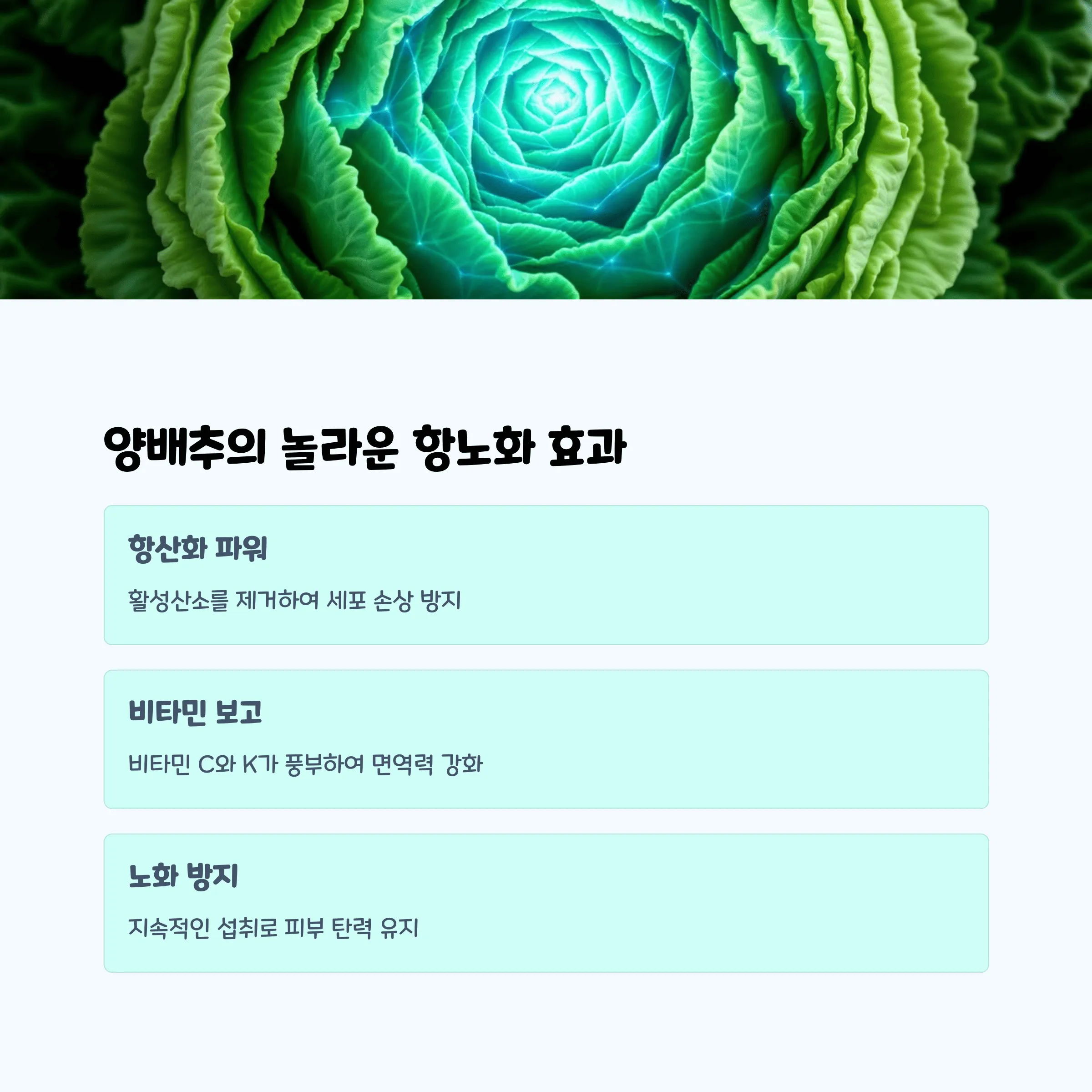 저속노화 샐러드, 집에서 5분만에 만드는 법