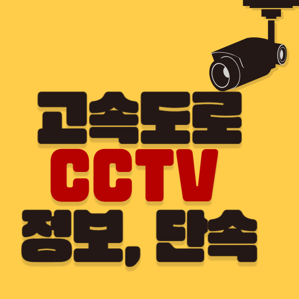 고속도로 cctv