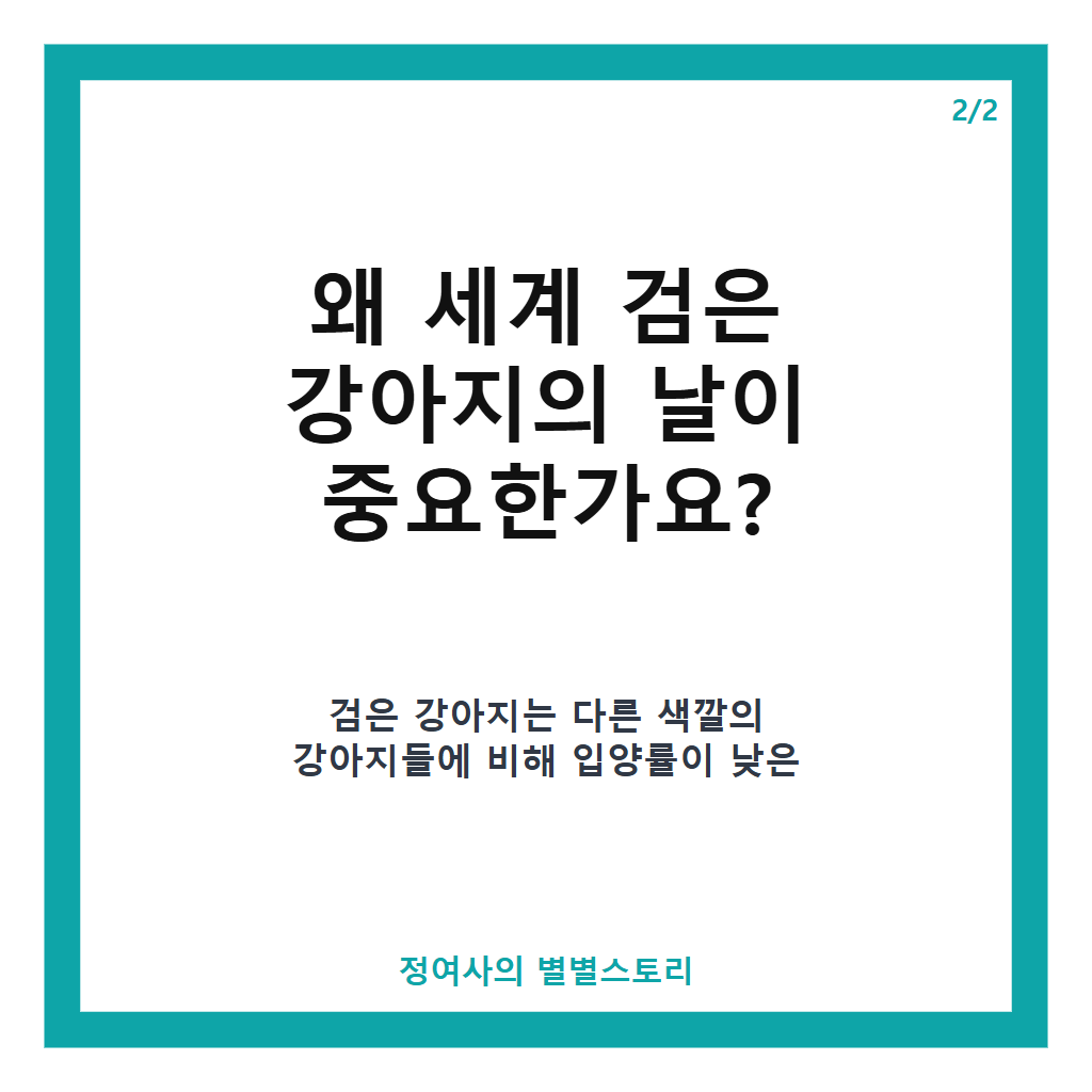 월 1일은 세계 검은 강아지의 날, 편견을 넘어 입양을 응원하는 의미 있는 날 카드뉴스 3
