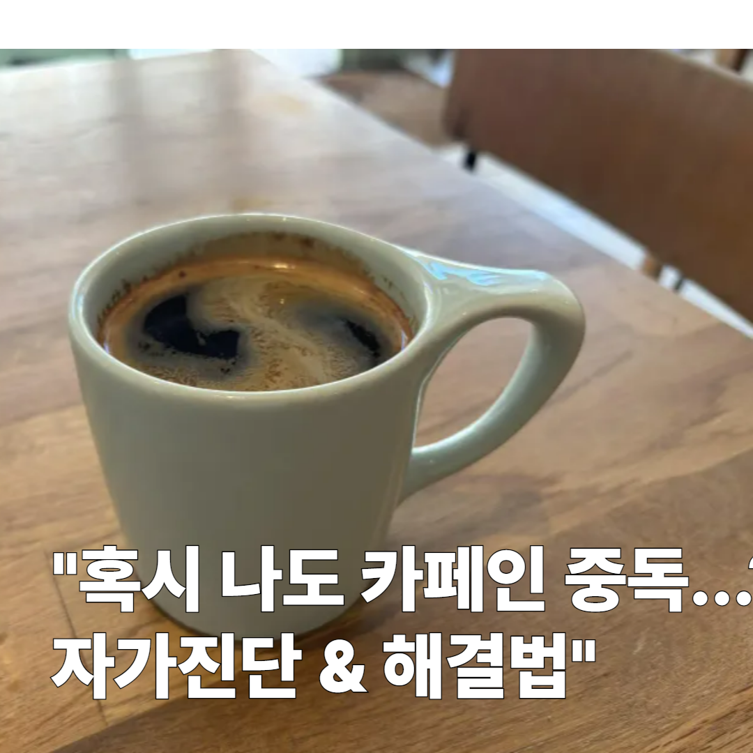 카페인 중독 자가진단 테스트｜끊는 법과 디카페인 대체 루틴
