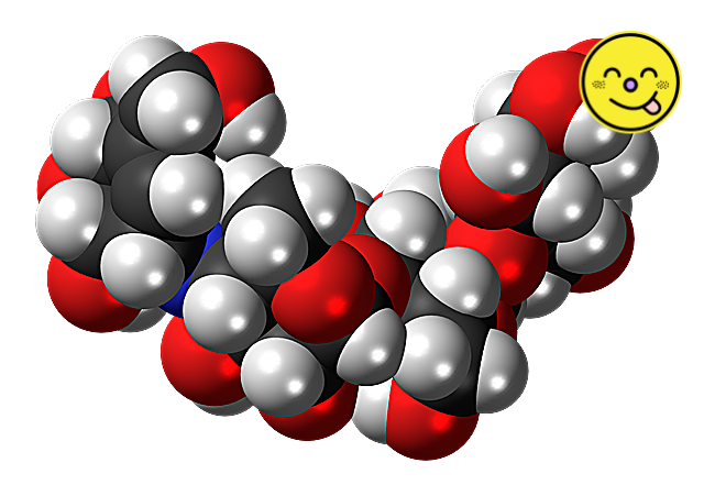 당뇨 초기 증상