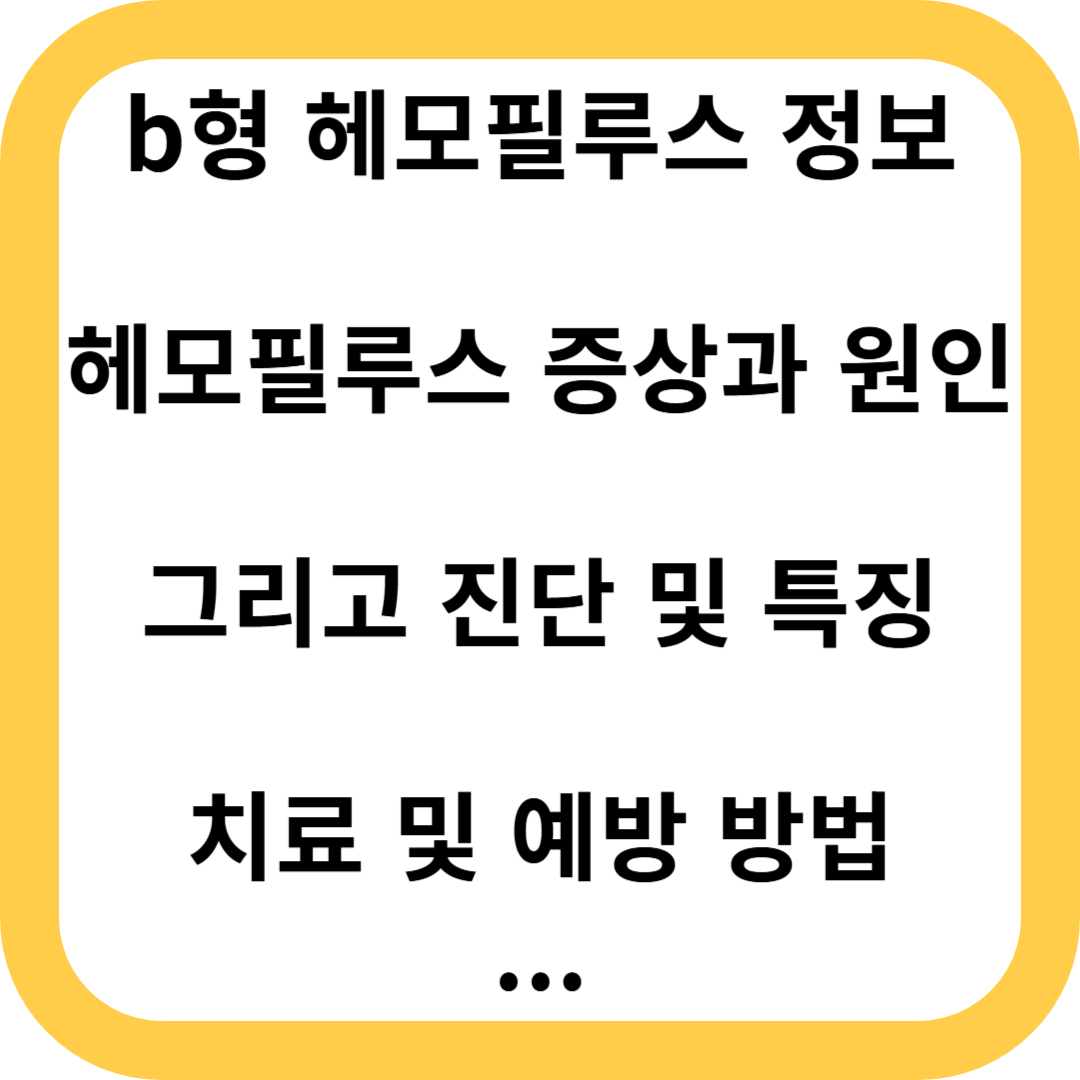 b형 헤모필루스 인플루엔자