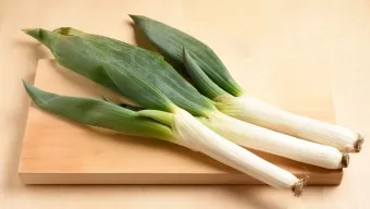 리크 재배 분주 심기 북주기 통풍 관리_9