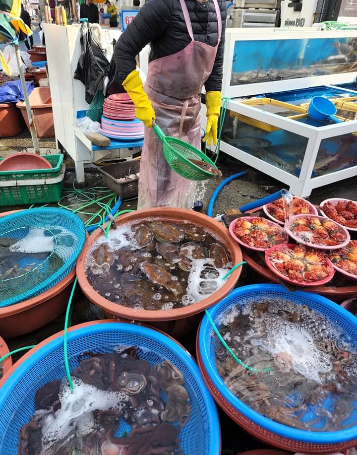 녹색 소쿠리에 담고 있는 해산물