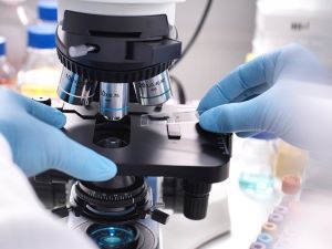 흉선 검사 사진