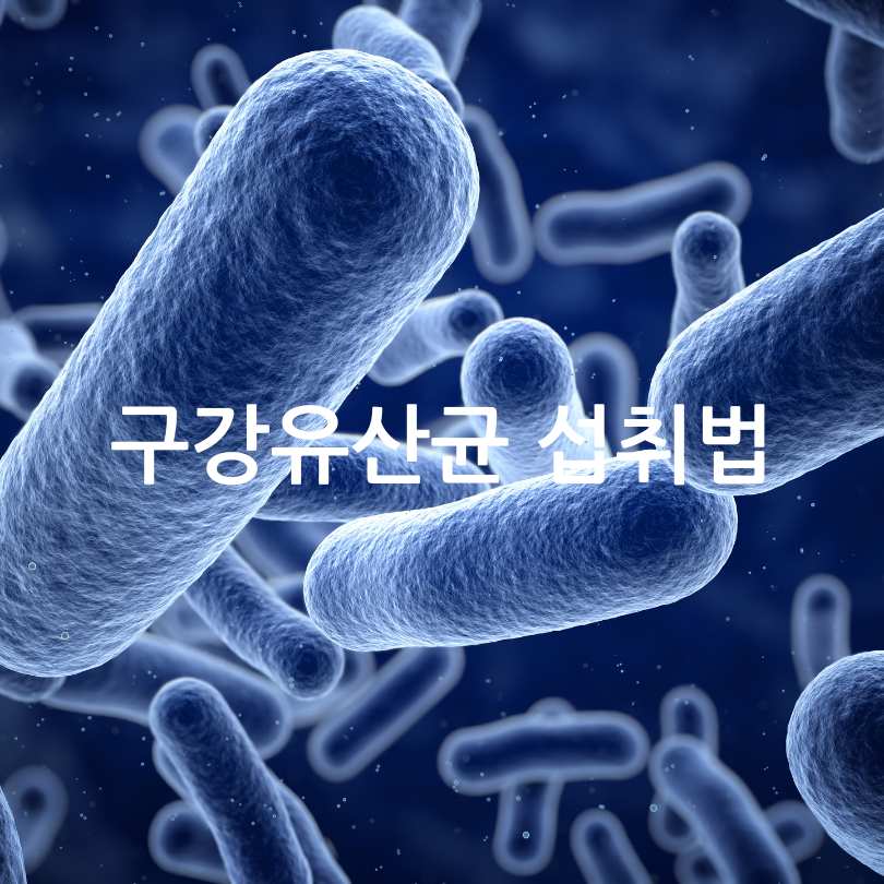 입냄새 원인? 구강유산균 효과와 부작용, 섭취법