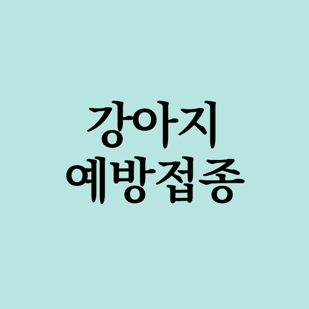 강아지예방접종