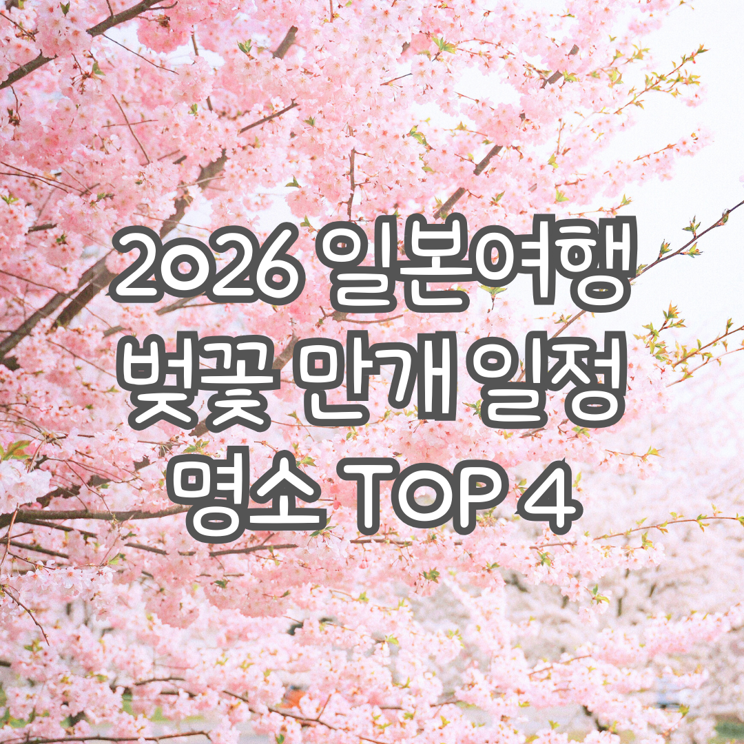 2026 일본여행 벚꽃 만개 일정 명소 TOP4
