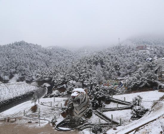 경남 겨울 여행 명소 추천, 자연&middot;설경&middot;숲길 BEST 4