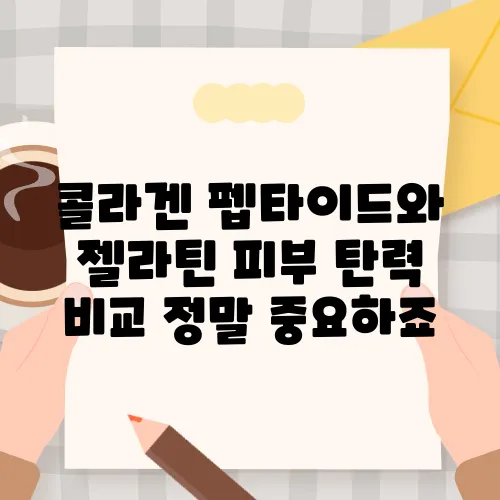 콜라겐 펩타이드와 젤라틴 피부 탄력 비교 정말 중요하죠