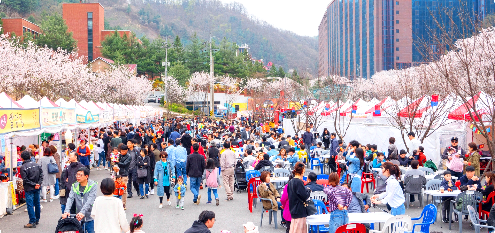 에덴벚꽃길 벚꽃축제