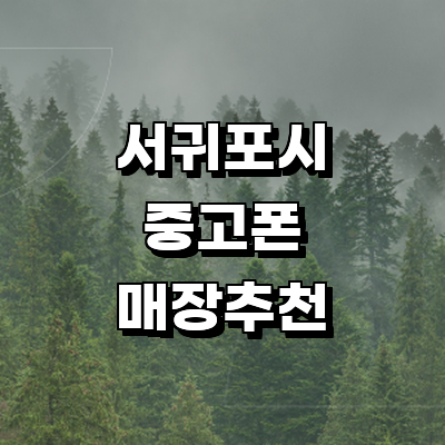제주 서귀포시 중고폰